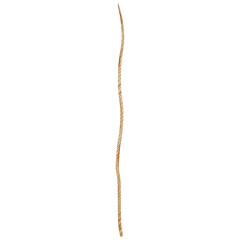 Tree Branch Twig Clipart PNG