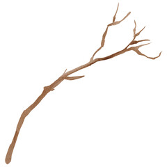 Tree Branch Twig Clipart PNG