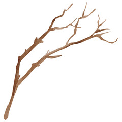 Tree Branch Twig Clipart PNG