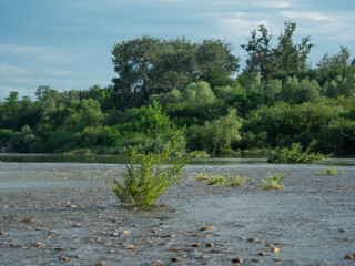 Obraz na płótnie Canvas River 