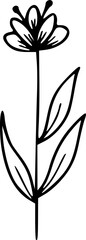 Wildflower Line Art
