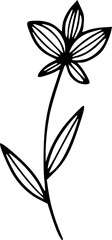 Wildflower Line Art
