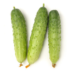 Green cucumber on the white background