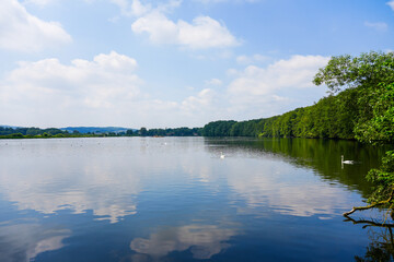 Hengsen reservoir in the Bahnwald nature reserve near Holzwickede. Ruhr reservoir in the Ruhr area. Landscape with a lake and the surrounding nature.
