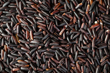 Black rice, also known as purple rice or forbidden rice. Organic unpolished black rice grains as a source of complex carbohydrates and high in antioxidants.  