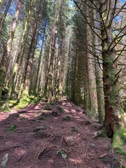 Obraz premium Orretua Kaland Hiking Trial Bergen Norway