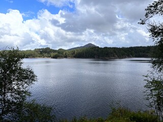 Hking Trial Alvøen Forrest Bergen Norway