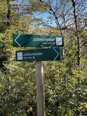 Hiking Trial Ulsetvarden  Geitanuken Åsane Bergen Norway