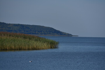 Frombork, Żuławy, Pomorze, Zalew, Wiślany, zatoka, morze, rezerwat, 