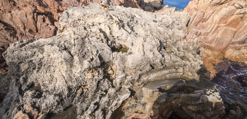 Fossil beach, spiaggia fossile a Caprera, Sardegna