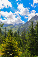Lech am Arlberg (Vorarlberg, &Ouml;sterreich)