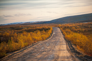 Road into autumn mountains