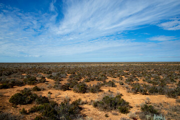 Fototapeta na wymiar Nullarbor Plain - South Australia