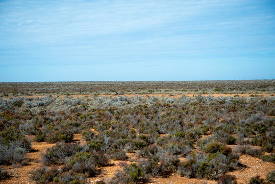Nullarbor Plain - South Australia