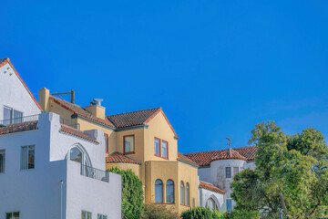 Houses and lush trees against blue sky in San Francisco California