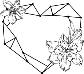  Frame flower  hand drawn.  Narcissus. Illustration plants for wedding design, logo and greeting card. PNG