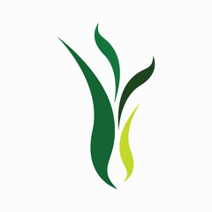 Tree fresh logo vector image