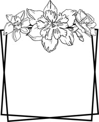  Frame flower  hand drawn.  Narcissus. Illustration plants for wedding design, logo and greeting card. PNG