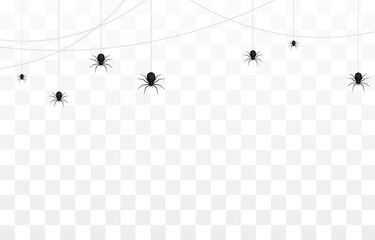 Vector spiders on an isolated transparent background. Background with spiders for design. Spiders PNG. Spiders hang on poutine PNG. Background for Halloween.