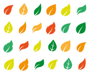 Fototapeta Autumn leaves set isolated on white background. Simple cartoon, flat style. Vector illustration. obraz