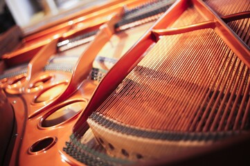 Inside a grand piano, strings closeup