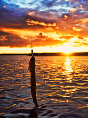 Fishing at sunset. Catching predatory fish on spinning. Sunset colors on the water surface, sunny...