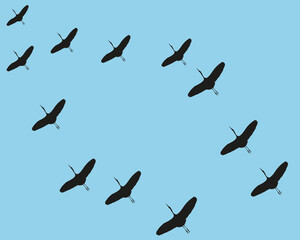 A flock of flying birds in the key, to warmer climes. Free birds. Vector illustration.