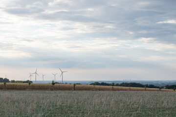 Fototapeta na wymiar Windräder für erneuerbare Energien in der Abendsonne