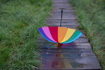 Geschwungener Weg im Regen, bunter Sonnenschirm spiegelt sich in einer Pfütze