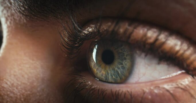 Blue Eye of girl looking at Camera Close Up. Macro Shot view Opening and Closing Blue Eyes Little Girl. Close Up Motion of famele Eyes. Human eye iris opening pupil.
