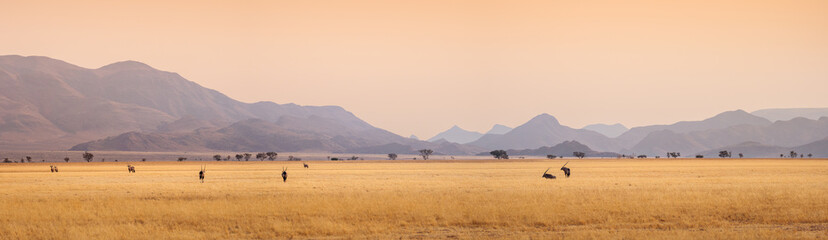 African landscape at sunset with silhouettes of mountains, Antelopes Oryx in savanna. Herd of an...