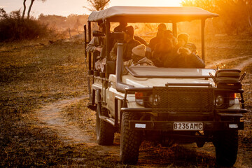 Game drive in a safari jeep at sunrise in the magical Okavango Delta in Botswana. Taken on a...
