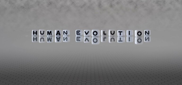 human evolution word or concept represented by black and white letter cubes on a grey horizon background stretching to infinity