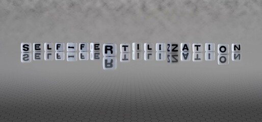 self fertilization word or concept represented by black and white letter cubes on a grey horizon...