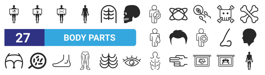 set of 27 outline web body parts icons such as male, male, standing man holding an x rays image, molecule with rings, male short hair shape, body cells under a magnification tool, man torso muscles,