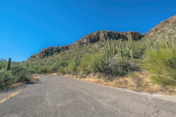 Road for hiking along mountain with blue sky view in Sabino Canyon state park