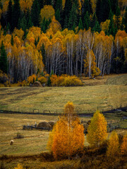 This is a group of landscape photos taken in the Tuva pastoral area in the Altai Mountains of China.
