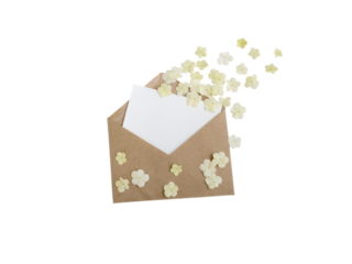 Brown paper envelope with greeting blank card and white flying flowers isolated transparent png