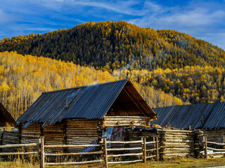 风景（中国、喀纳斯禾木）