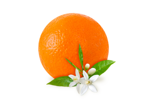 Orange fruit, flowers and leaves isolated transparent png