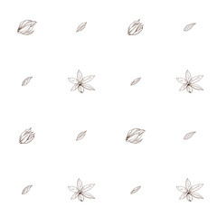 Seamless pattern with Outlined hand drawind geometrical blossoming flower. Ylang-ylang textile vector print