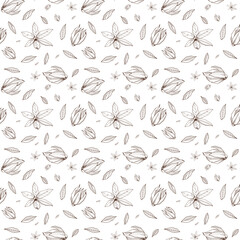 Seamless pattern with Outlined hand drawind geometrical blossoming flower. Ylang-ylang textile vector print