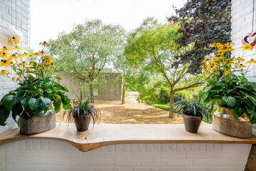 Interior with slatted window and a lot of plants and yellow design