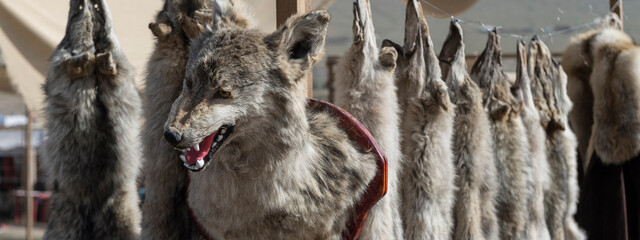 Wolf fur on display on a central-asian market in Kyrgyzstan