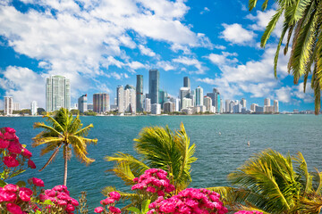Miami waterfront skyline through palms and flowers view - obrazy, fototapety, plakaty
