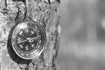 round compass on natural background