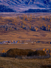风景（中国、喀纳斯禾木）