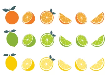 Foto op Plexiglas Big vector set of citrus fruits.Orange,lemon and lime icons on white background © Sun_Lab_Design