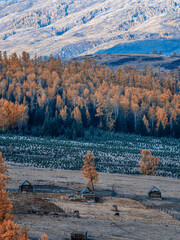 风景（中国、喀纳斯禾木）