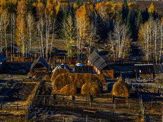 风景（中国、喀纳斯禾木）